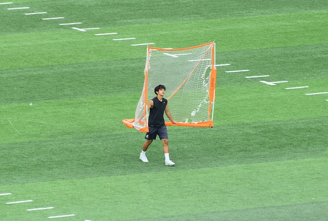 观点