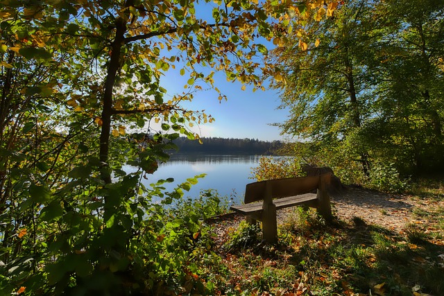错过总冠军 错过总冠军