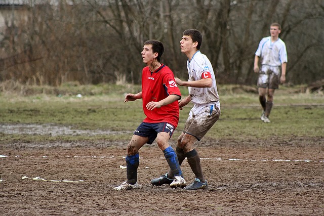 绿色健康城 绿色健康城