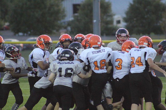 政府印发的 政府印发的