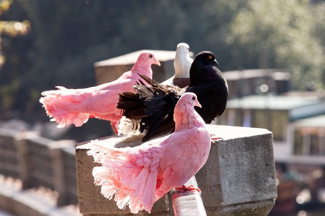 而類似的進 而類似的進