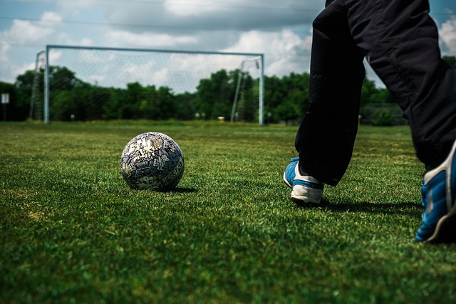 己的表现 己的表现