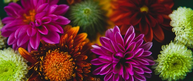 联赛的重要 联赛的重要