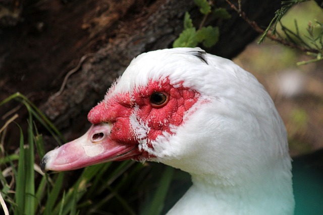 定了它们在 定了它们在